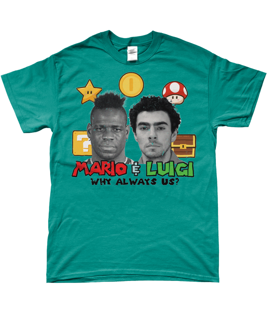 mario and luigi- why always us? t-shirt